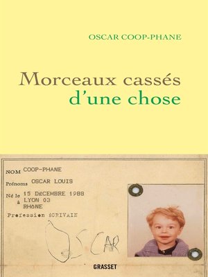 cover image of Morceaux cassés d'une chose
